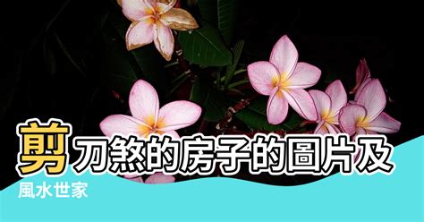 剪刀 風水|風水世家／遇「剪刀煞」怎麼辦？ 放一樣物品可化解 